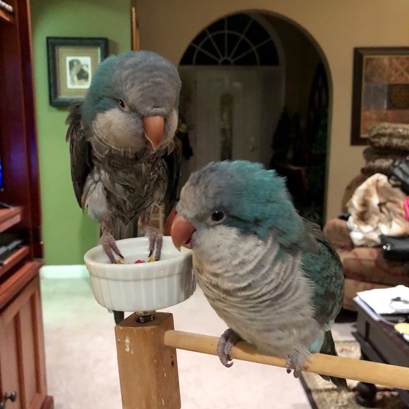 πNew Posh Ambassador as of 10/07/19π - Picture 2 of 8